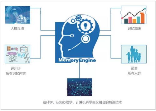 開學秒變 學渣 為什么孩子學英語投入大,效果差 原來癥結在這里